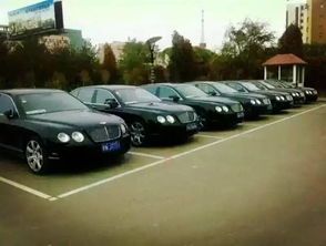 沈陽(yáng)婚禮租車(chē)指南 新款奔馳跑車(chē)作為婚車(chē)頭車(chē)的驚艷之選